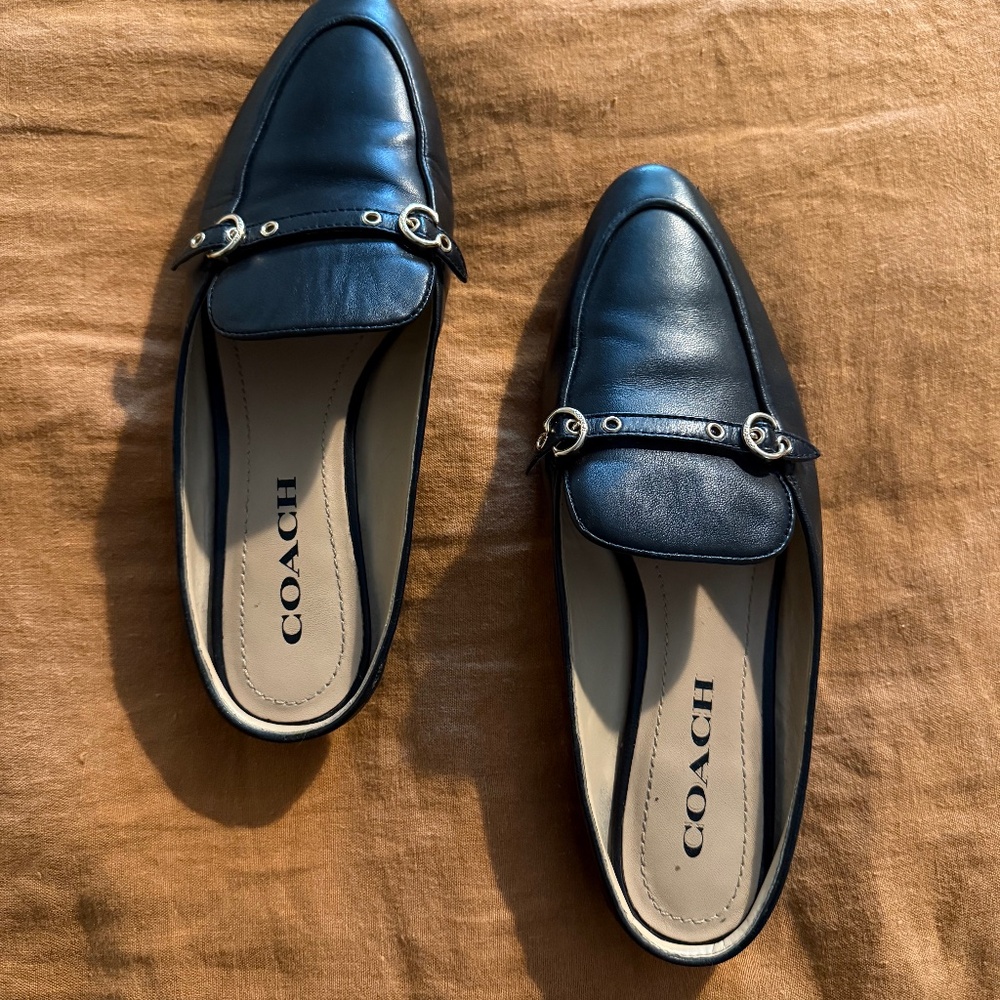Coach Slides, Size 6.5